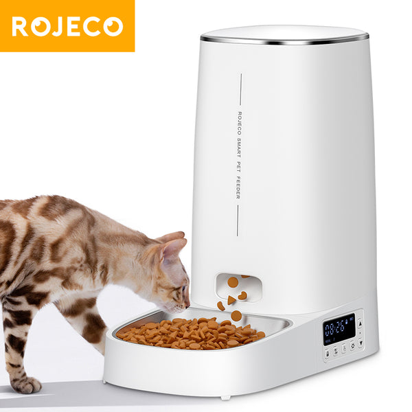 Automatic cat feeder